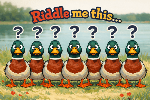 Duck Riddle Lineup